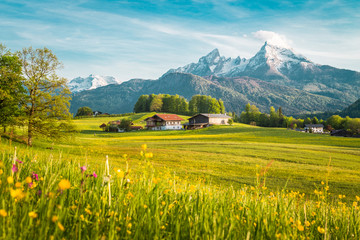 Wall Mural - Idyllic landscape in the Alps with blooming meadows in springtime