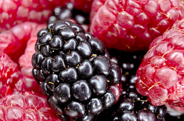 Close-up of raspberries and blackberries