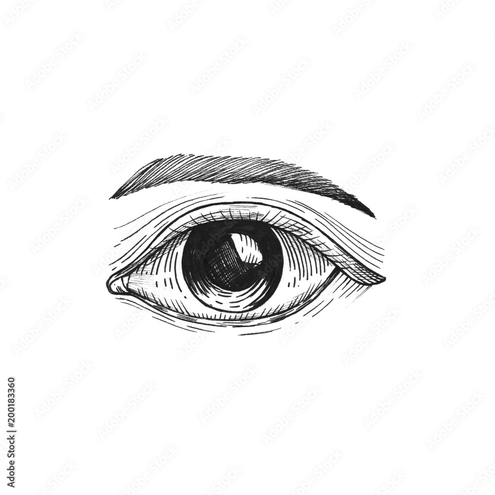 Human eye vintage style illustration Stock Illustration | Adobe Stock