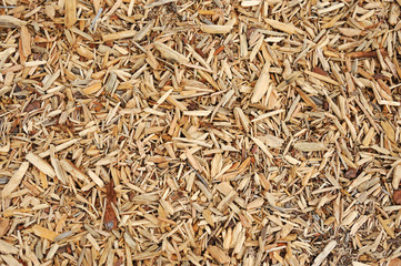 high angle view of mulch background in garden