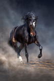 Fototapeta Konie - Wild horse run in dark desert dust