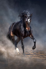 Naklejka na meble Wild horse run in dark desert dust