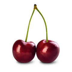 Two ripe cherries on a branch isolated on a white background