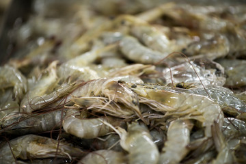 The shrimp used to Cook several delicious and there are benefits to the body  