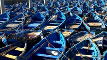 Blue Fishing Boats In Essaouira Harbor, Morocco.
