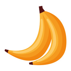 Poster - fresh bananas cluster isolated icon vector illustration design