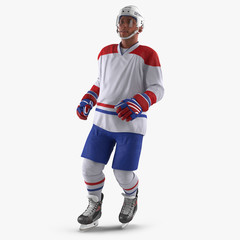 Wall Mural - Hockey Player on white. 3D illustration