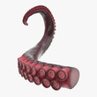 Octopus Tentacle on white. 3D illustration