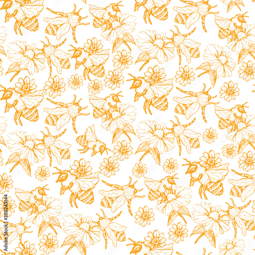 Honey Bee Seamless Pattern, Sketch Vector Illustration With Bumble Bee ...