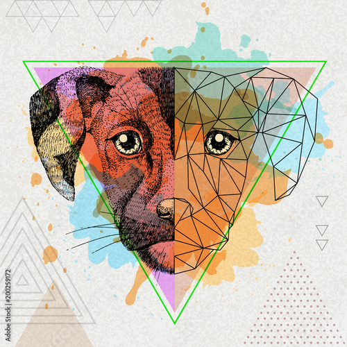 Fotografía Hipster animal realistic and polygonal dog on artistic watercolor background