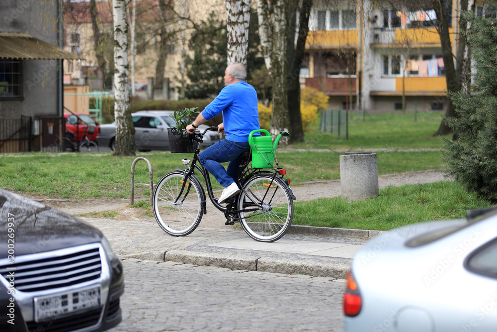 Mężczyzna na rowerze w miejskim parku z sadzonkami i konefką. - obrazy, fototapety, plakaty 