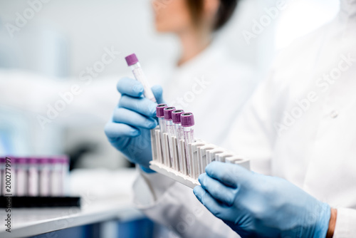 Cuadros en Lienzo Laboratory assistant putting test tubes into the holder, Close-up view focused o