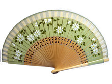 Isolated Vintage Celluloid Green Decorative Hand Fan