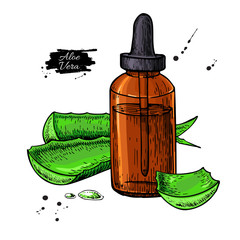 Aloe Vera juice in bottle. Hand drawn vector illustration. Isola