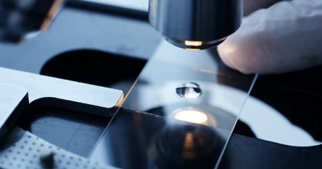 Wall Mural - close up shot of the scientist studies examining of test sample under the microscope in laboratory.