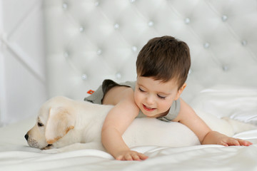 Wall Mural - Boy with labrador puppy