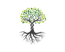Logos Of Green Tree Leaf Vector