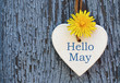 Hello May greeting card with decorative white heart and dandelion yellow flower on old blue wooden background.Springtime concept.
Selective focus.