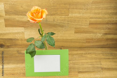 Plakat Pomarańcze róża z zieloną ramą z pustą biel kopii przestrzenią, drewniany tło