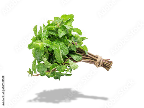 Cuadros en Lienzo bunch of fresh green mint isolated on white background with shadow, studio shot