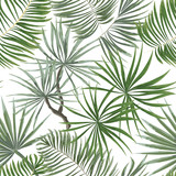 Fototapeta Sypialnia - seamless pattern of bright green tropical leaves on white background.Vector Tropical palm leaves seamless pattern. Jungle floral ornamental background. Florals for your poster, banner flayer.