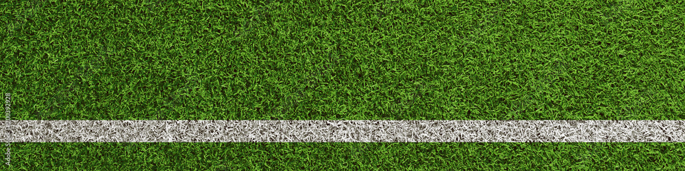 Linie auf Rasen vom Fußball Spielfeld als Panorama - obrazy, fototapety, plakaty 
