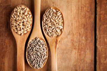 Wall Mural - Grains and cereals in wooden spoons. Oats, wheat, rye, secale, barley.