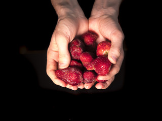 Wall Mural - close up hands holding fresh icy strawberries isolated in dark background