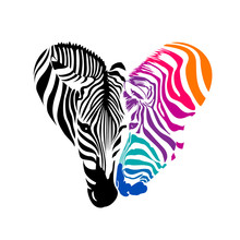 Heart Zebra Clipart Free Stock Photo - Public Domain Pictures