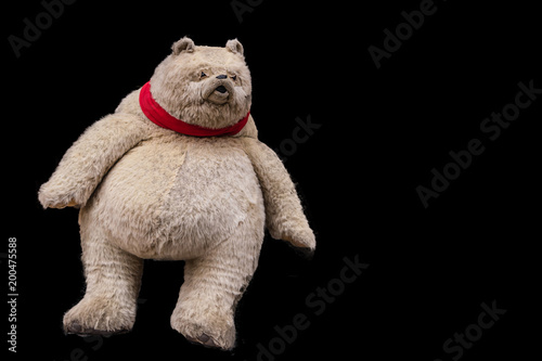 grumpy teddy