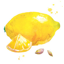 Lemon And Slice In Watercolor Style. Cute Handwritten Illustration With Lemon, Slice, Lemon Bones, And Watercolor Splash For Art And Design Background, Banner, Poster