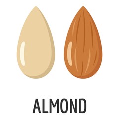 Poster - Almond icon. Flat illustration of almond vector icon for web