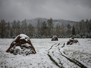 the field where a few stacks of hay and the snow fell and you can see traces of automobile between stacks