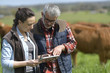 © goodluz - Couple of stock breeders using tablet in field
