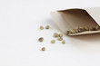 Open packet of spinach seeds with some scattered in front of envelope. Extreme shallow depth of field with selective focus on seed in front.