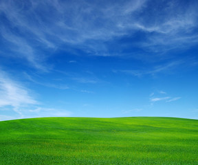 field and sky