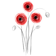 Red Poppies Concept