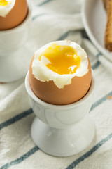 Poster - Homemade Soft Boiled Egg in a Cup