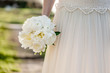 © Laszlo - Bridal bouquet. Bride holding bunch of peony flowers. Beautiful white Peony.
