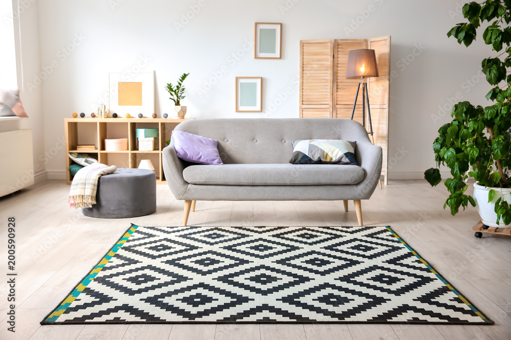 Modern living room interior with stylish sofa and carpet Stock Photo ...