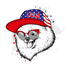 A Pedigreed Dog With A Cap And Glasses. Spitz Pomeranian Painted In Vector.