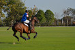 player riding horse on the field in horse polo match tournament.