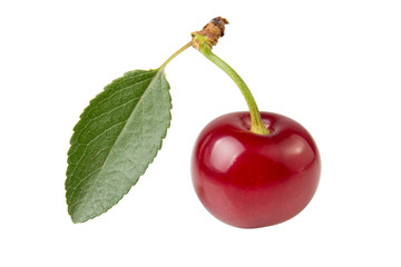 Wall Mural - Cherry berry with fresh green leaf isolated on white background