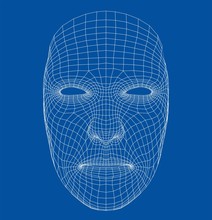 Wire-frame Abstract Human Face