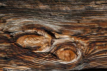 Wood texture