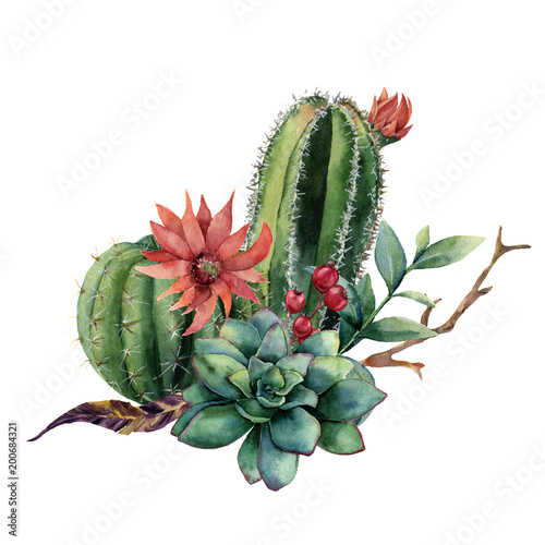 Watercolor Cactus Bouquet Hand Painted Cereus With Red Flower Green Succulent Berries And Treebranch With Leaves Isolated On White Background Illustration For Design Print Fabric Or Background Stock Illustration Adobe Stock