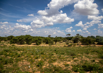 Landscape of the region Ghanzi at Botswanan during summertime