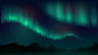 Vector illustration with aurora borealis, northern starry night