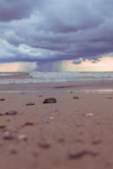 Wall Mural - Rainy Storm Clouds