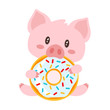 pig sitting and eating doughnut